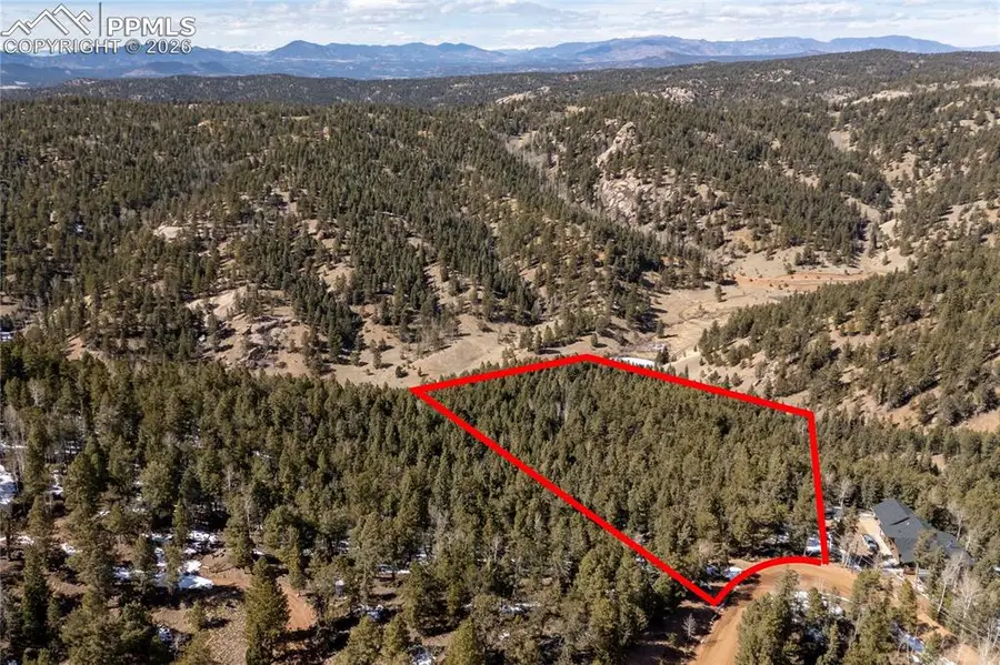 81 Haven Road, Divide, CO 80814 - #2