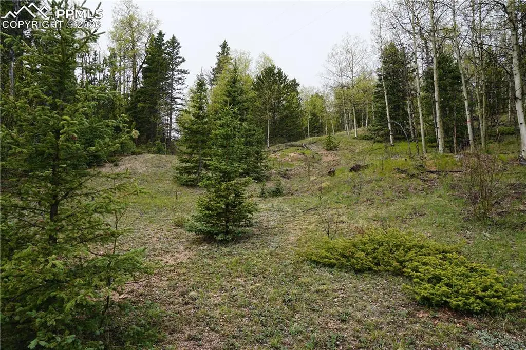 Vacant Land Na, Cripple Creek, CO 80813 - #1