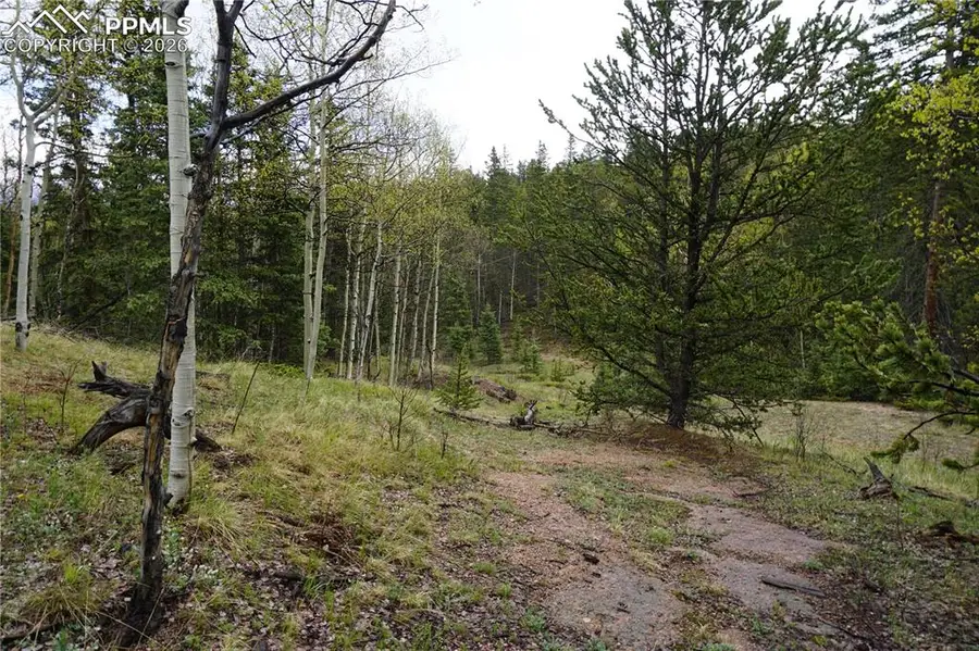 Vacant Land Na, Cripple Creek, CO 80813 - #3