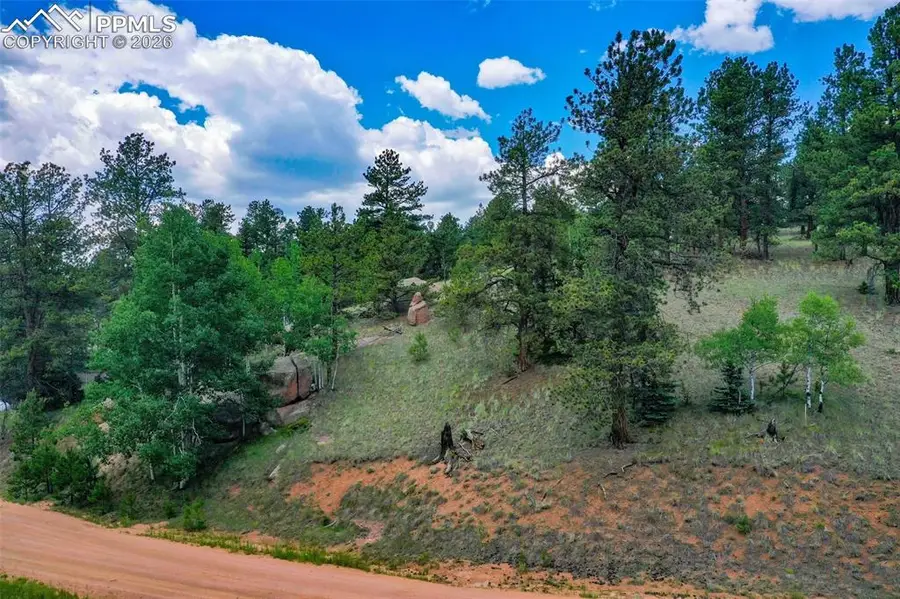 549 Spring Valley Lane, Florissant, CO 80816 - #2