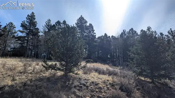 136 Valley Road, Divide, CO 80814
