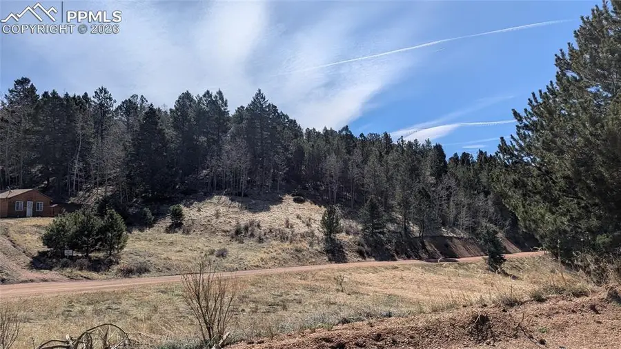 136 Valley Road, Divide, CO 80814 - #3
