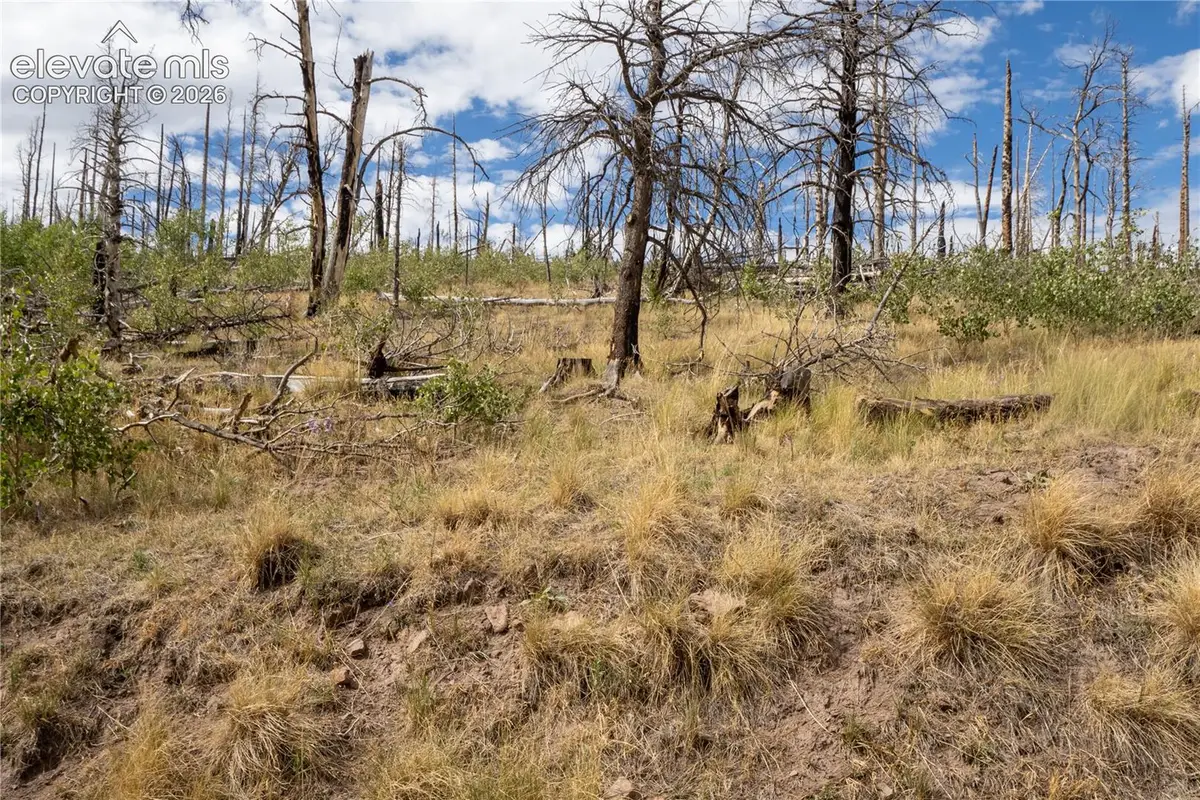 Lot 2748 Grojean Drive, Fort Garland, CO 81133 - #1