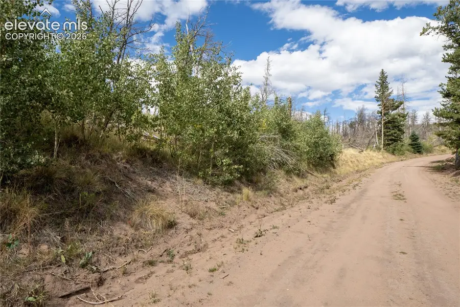 Lot 2748 Grojean Drive, Fort Garland, CO 81133 - #2
