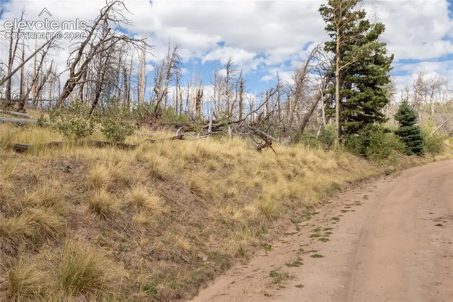 Lot 2748 Grojean Drive, Fort Garland, CO 81133 - #3