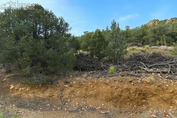 2973 Driftwood Road Drive, Westcliffe, CO 81252