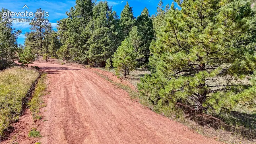 1232 Monarch Drive, Cripple Creek, CO 80813 - #3