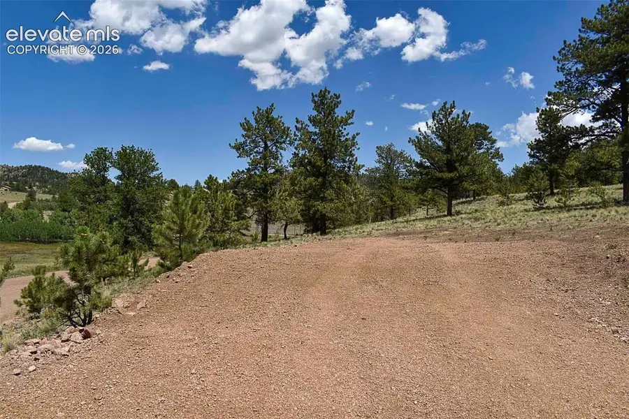 4278 County Road 71, Guffey, CO 80820 - #3
