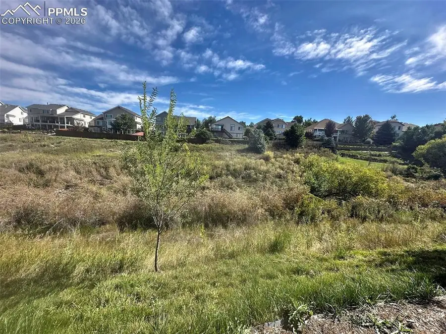 6463 Bluffmont Point, Colorado Springs, CO 80923 - #2