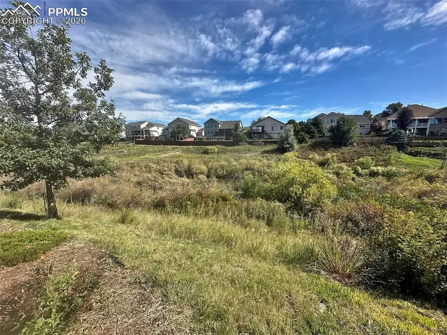 6463 Bluffmont Point, Colorado Springs, CO 80923 - #3