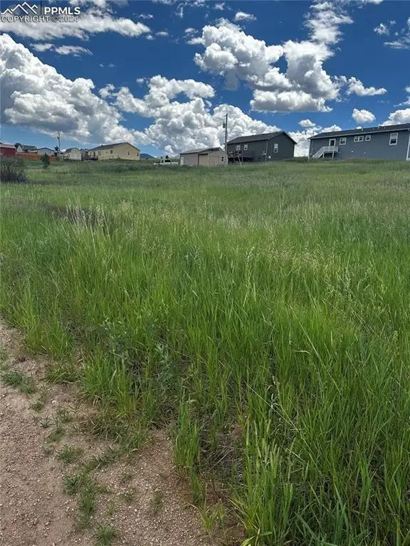 1298 Will Scarlet Drive, Divide, CO 80814