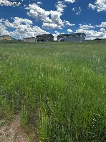 1298 Will Scarlet Drive, Divide, CO 80814 - #2