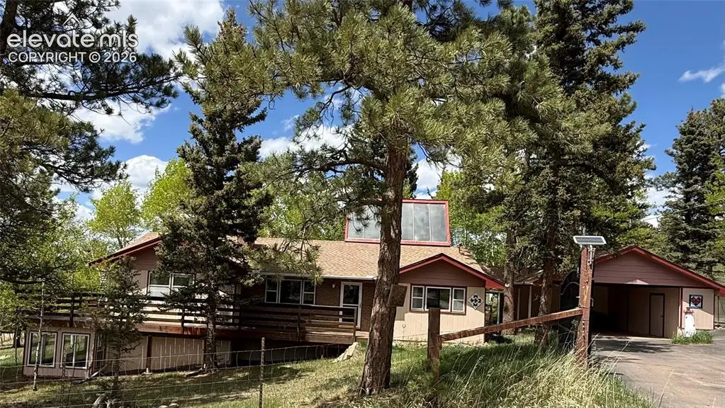 741 Elfin Glen Drive, Divide, CO 80814 - #1