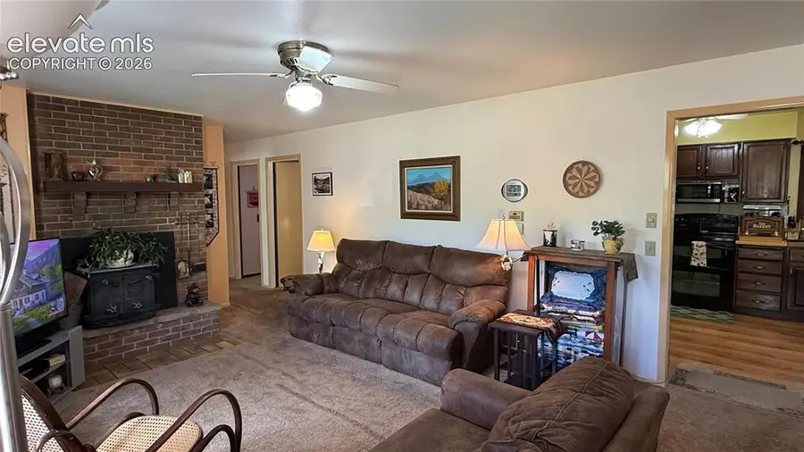 741 Elfin Glen Drive, Divide, CO 80814 - #3