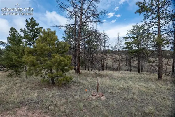 144 Chapparal Trail, Florissant, CO 80816