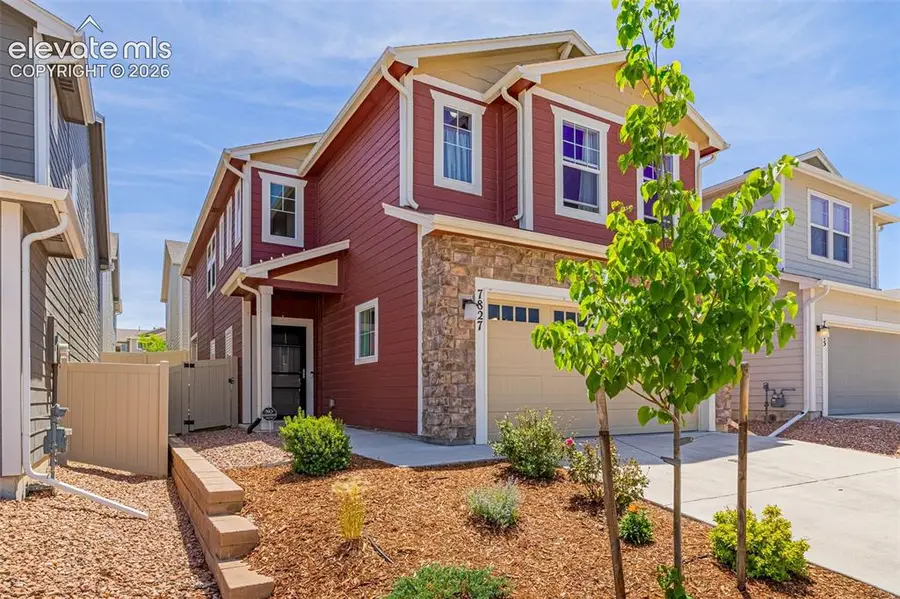7827 Lathrop View, Colorado Springs, CO 80924 - #2
