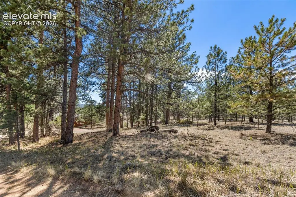 349 Rhyolite Lane, Florissant, CO 80816 - #1
