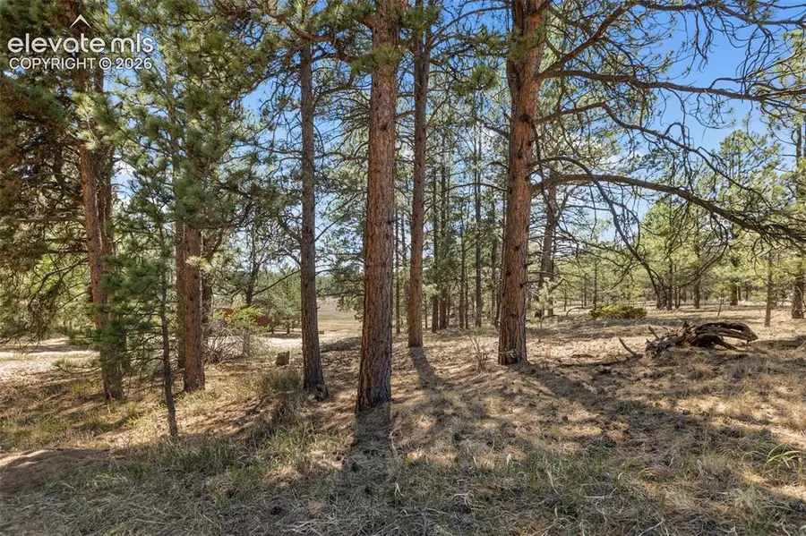 349 Rhyolite Lane, Florissant, CO 80816 - #2