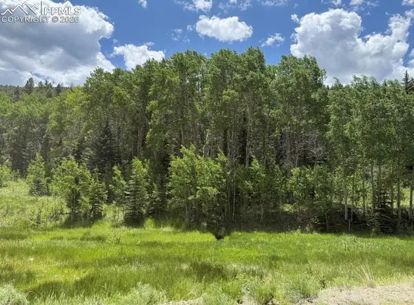 Lot 1 Co Rd 358, Westcliffe, CO 81252