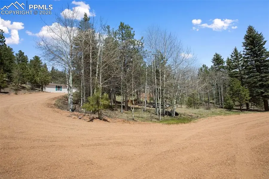 1011 W Bison Creek Trail, Divide, CO 80814 - #2