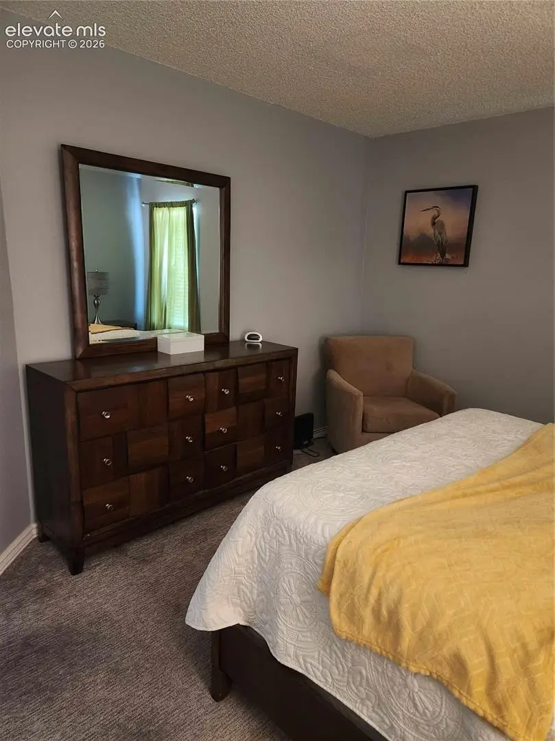 2314 Troy Court, Colorado Springs, CO 80918 - #3