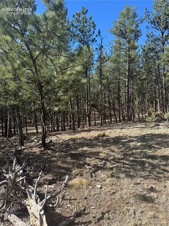 642 Matterhorn Drive, Florissant, CO 80816 - #1