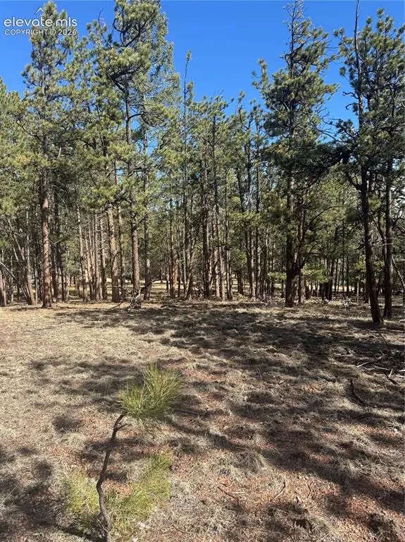 642 Matterhorn Drive, Florissant, CO 80816 - #3