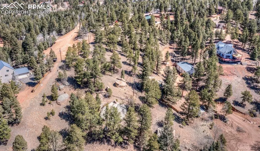 110 La Abu Trail, Florissant, CO 80816 - #1