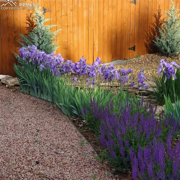 3255 Wesley Lane, Colorado Springs, CO 80917 - #3