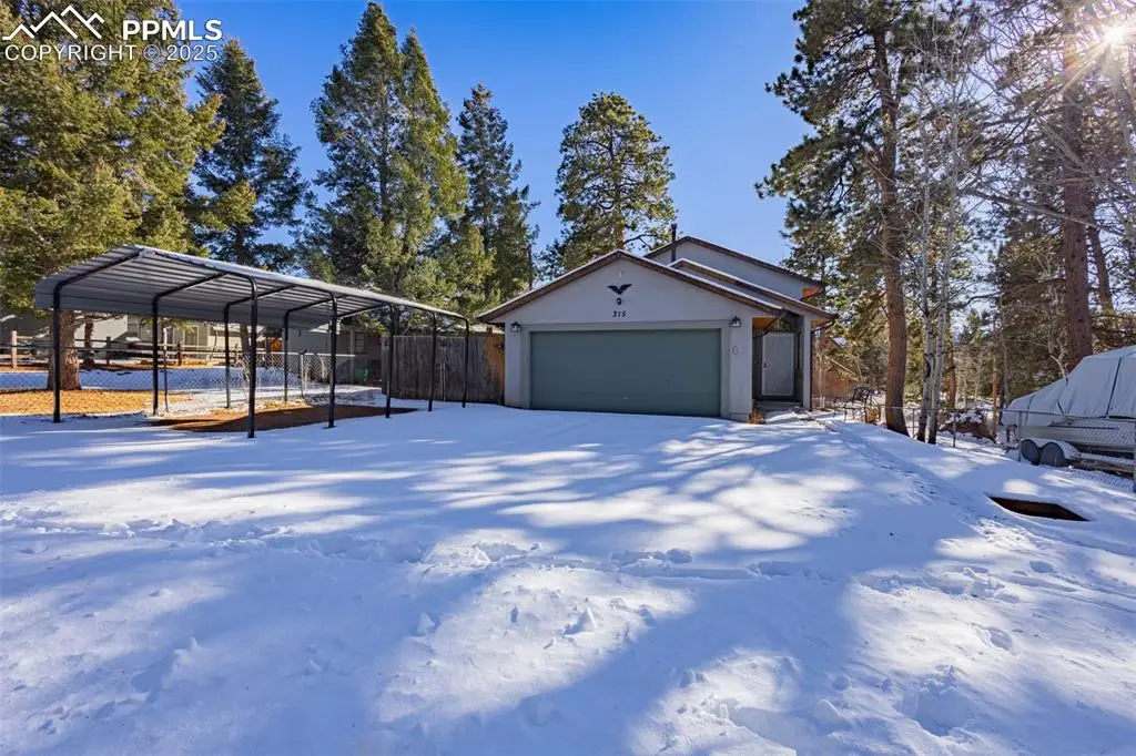 315 E Gunnison Avenue, Woodland Park, CO 80863 - #1