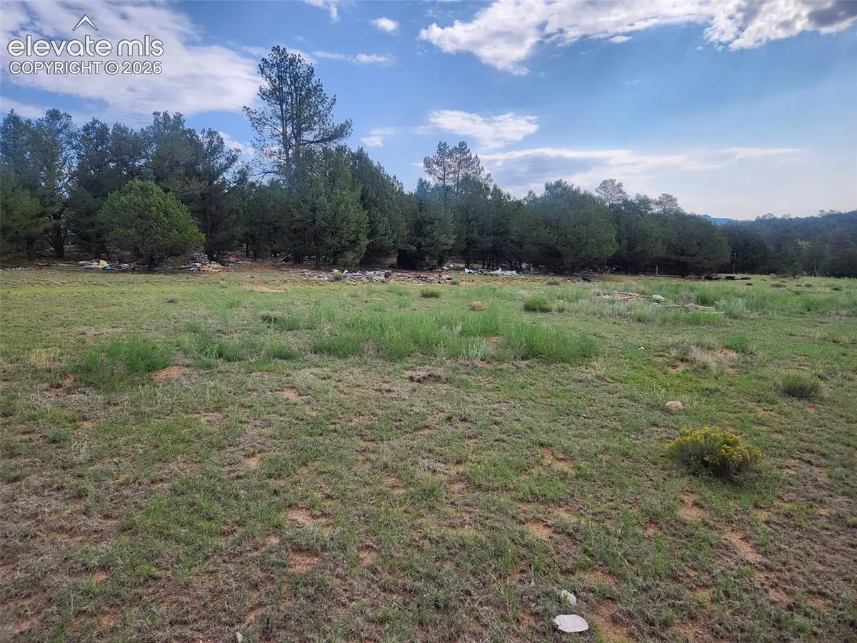 1262 35th Trail, Texas Creek, CO 81223 - #1