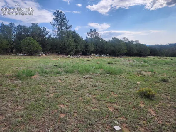 1262 35th Trail, Texas Creek, CO 81223