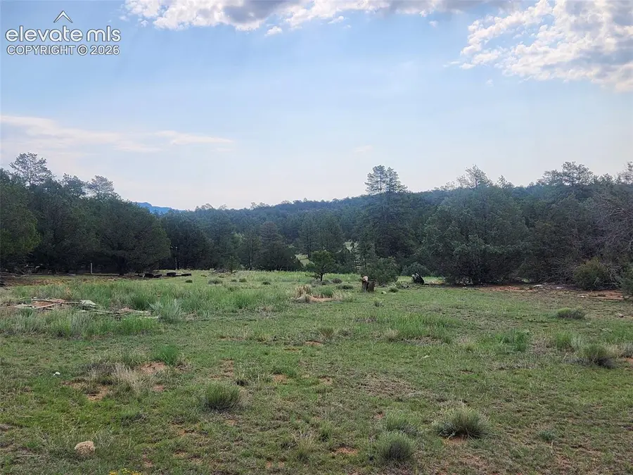 1262 35th Trail, Texas Creek, CO 81223 - #2
