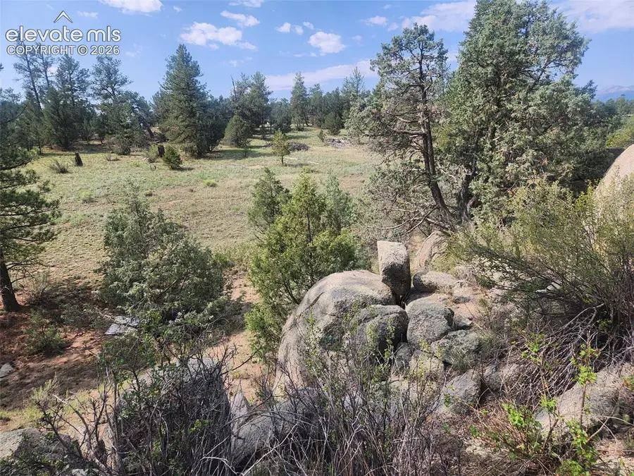 1262 35th Trail, Texas Creek, CO 81223 - #3