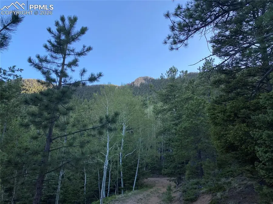 285 Forest Road, Manitou Springs, CO 80829 - #3