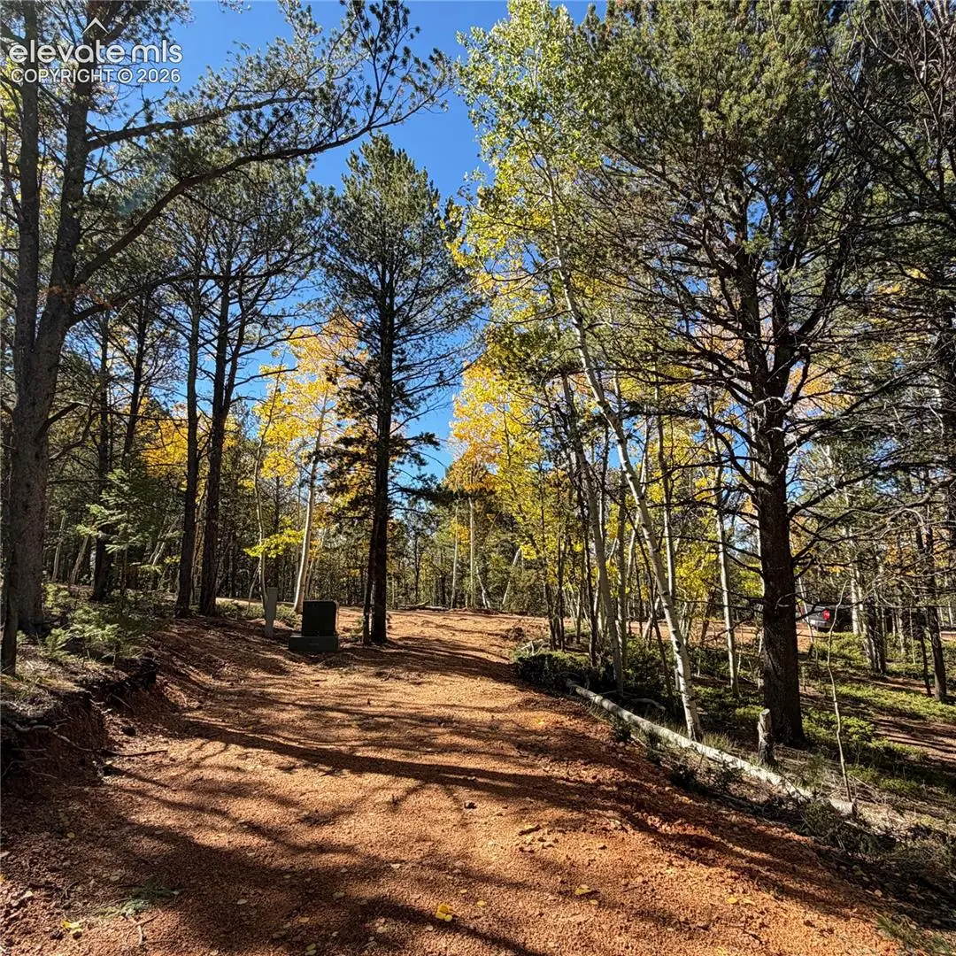800 Timber Ridge Road, Divide, CO 80814 - #1