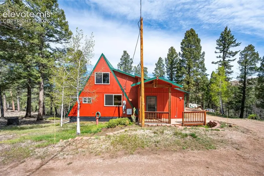 873 Trail Creek Road, Lake George, CO 80827 - #2