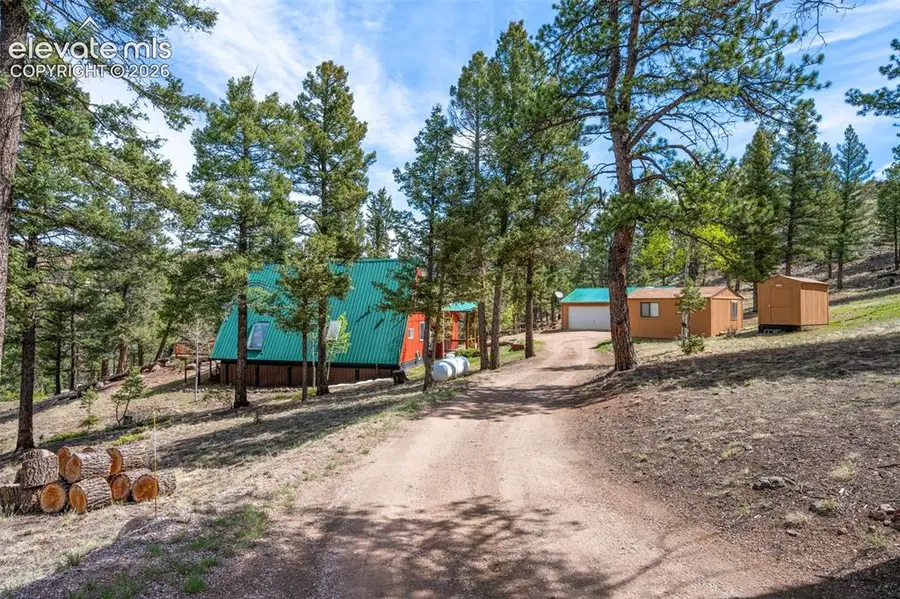 873 Trail Creek Road, Lake George, CO 80827 - #3