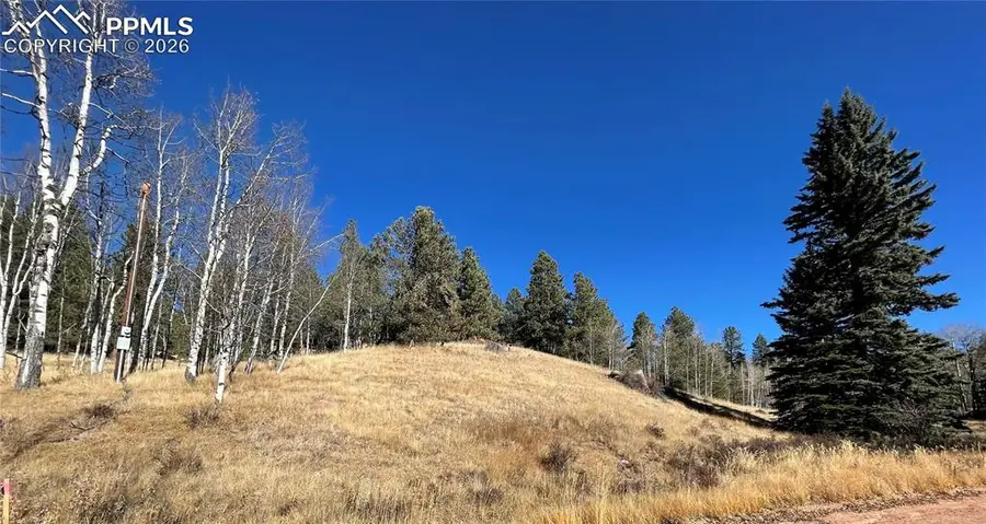 3090 N Mountain Estates Road, Florissant, CO 80816 - Image #2