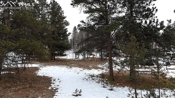210 Rhyolite Lane, Florissant, CO 80816