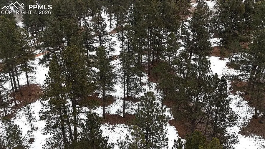 210 Rhyolite Lane, Florissant, CO 80816 - Image #3