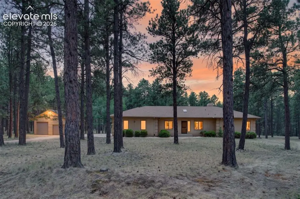 155 Pontiac Loop, Monument, CO 80132 - #1