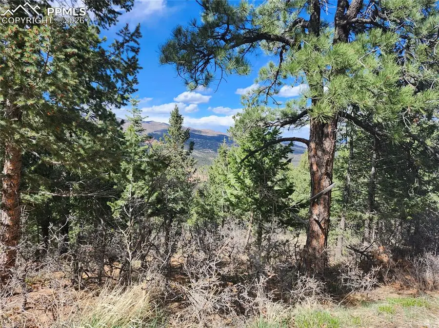 292 Sugarloaf Road, Manitou Springs, CO 80829 - #3