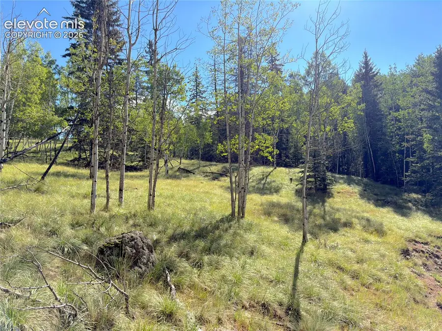 3300-3278 N Mountain Estates Road, Florissant, CO 80816 - #3