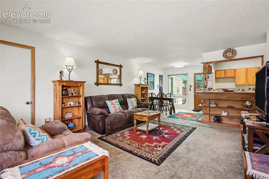 303 Elmwood Drive, Colorado Springs, CO 80907 - #2