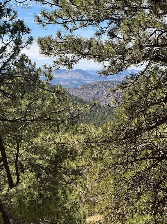 288 Troy Drive, Cripple Creek, CO 80813 - #1