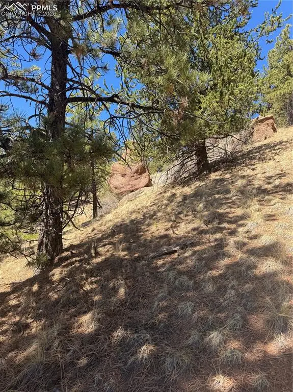 288 Troy Drive, Cripple Creek, CO 80813 - #2