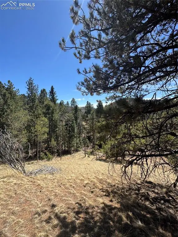 288 Troy Drive, Cripple Creek, CO 80813 - #3