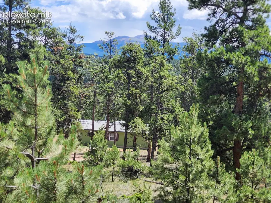 400 Pikes Peak Lane, Florissant, CO 80816 - #2