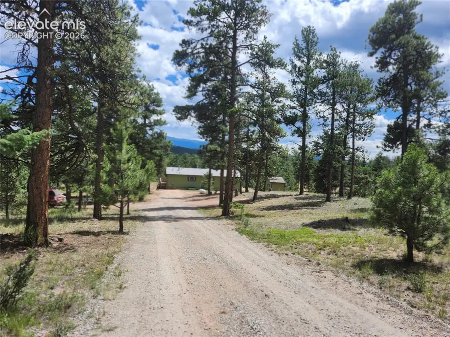 400 Pikes Peak Lane, Florissant, CO 80816 - #3